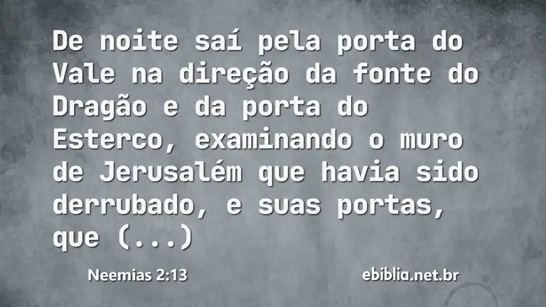 Neemias 2:13