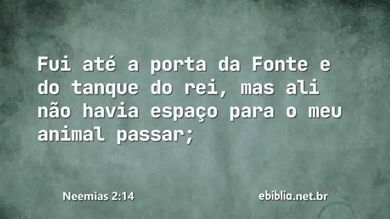 Neemias 2:14