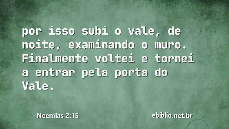 Neemias 2:15