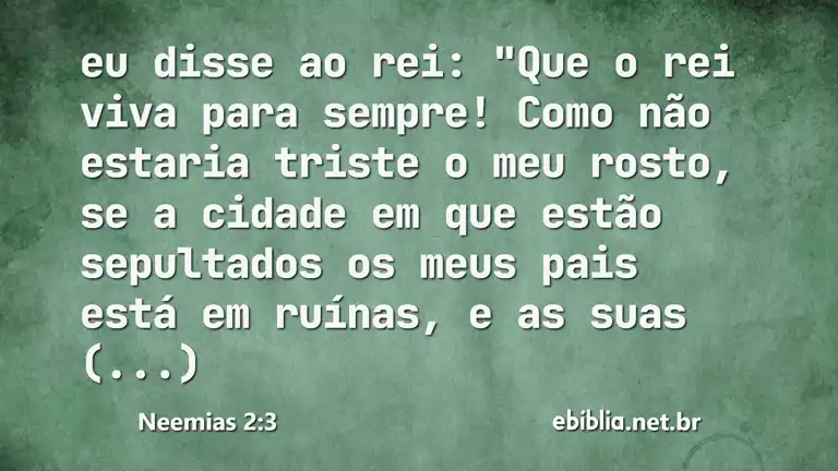 Neemias 2:3