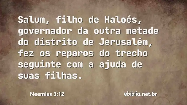 Neemias 3:12