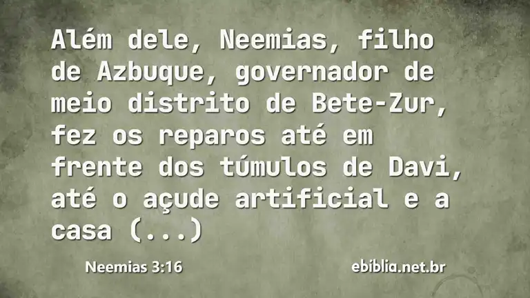 Neemias 3:16