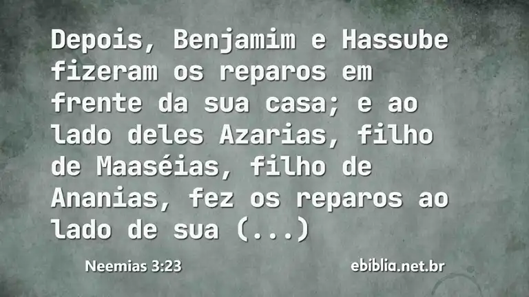 Neemias 3:23