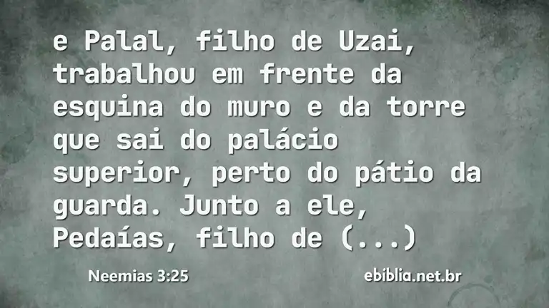 Neemias 3:25