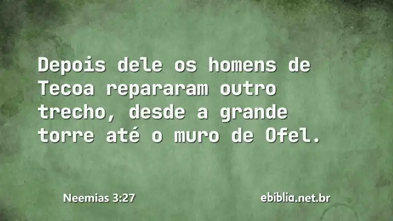 Neemias 3:27