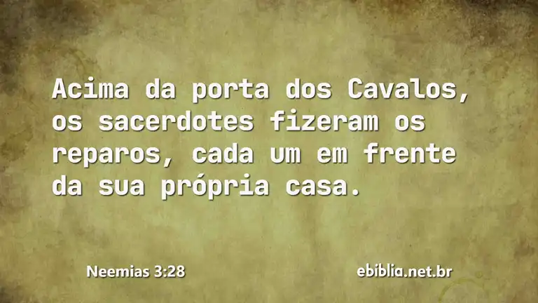 Neemias 3:28