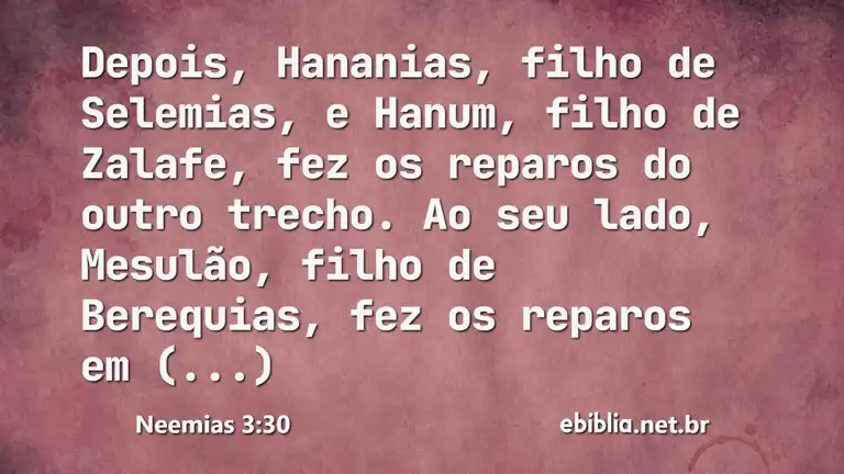 Neemias 3:30