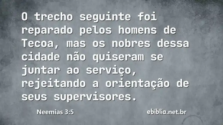 Neemias 3:5