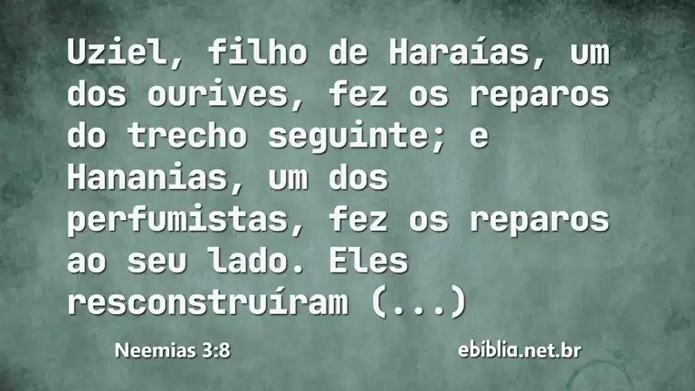 Neemias 3:8