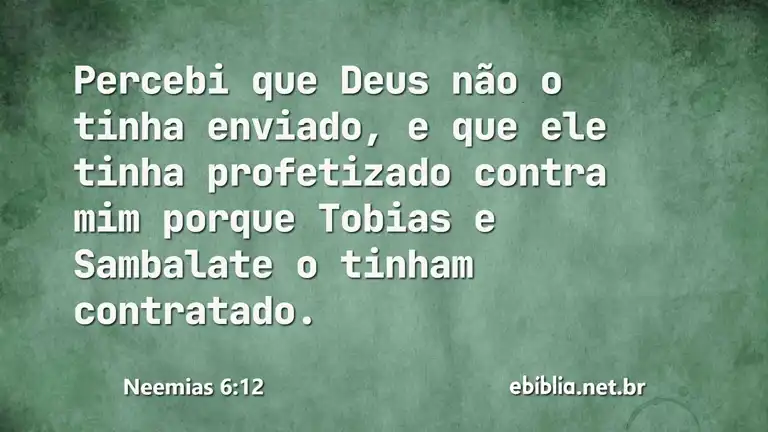 Neemias 6:12