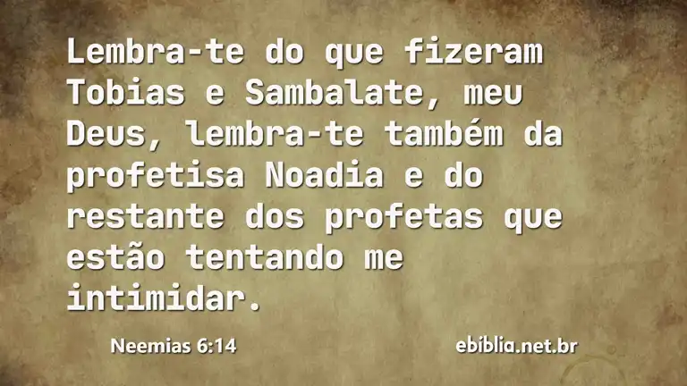 Neemias 6:14