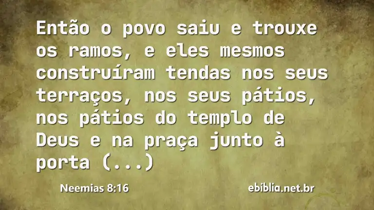 Neemias 8:16