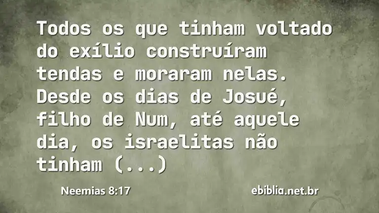 Neemias 8:17