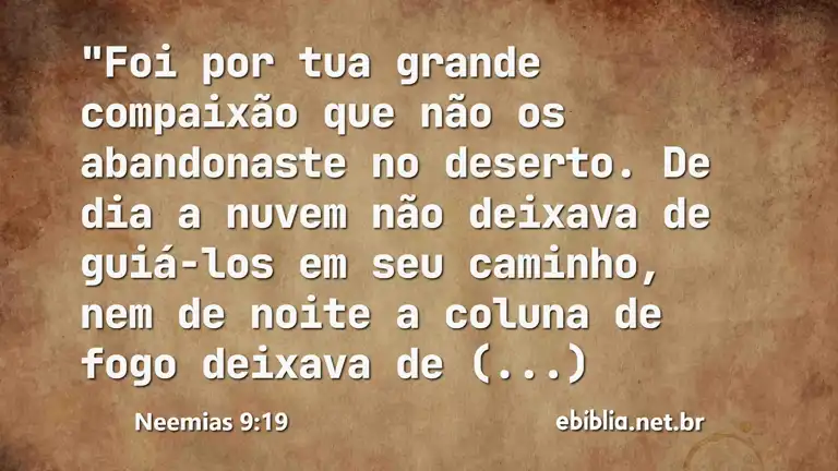 Neemias 9:19