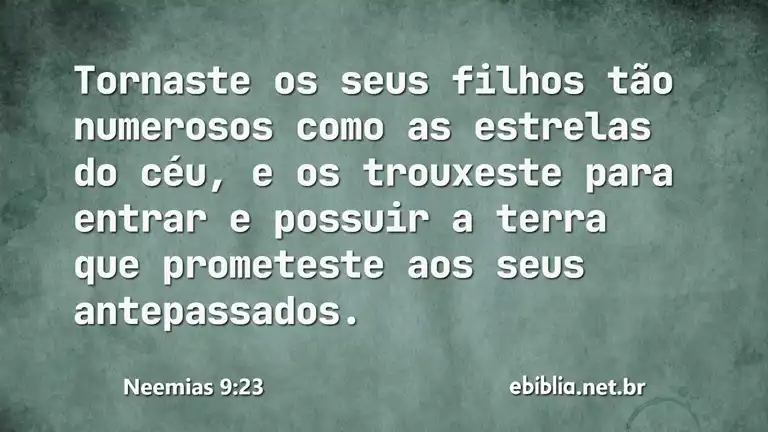 Neemias 9:23