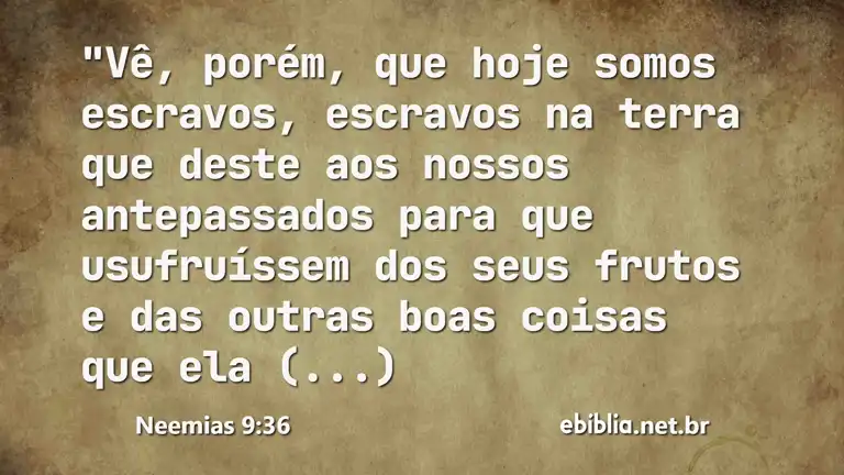 Neemias 9:36