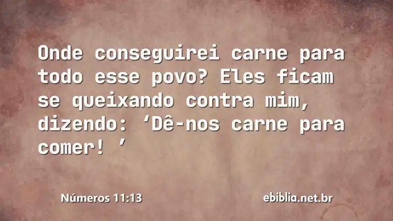 Números 11:13