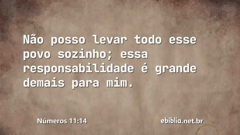 Números 11:14