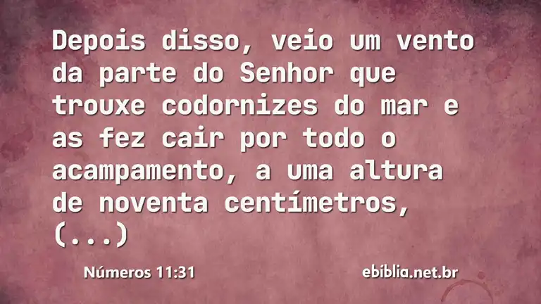 Números 11:31