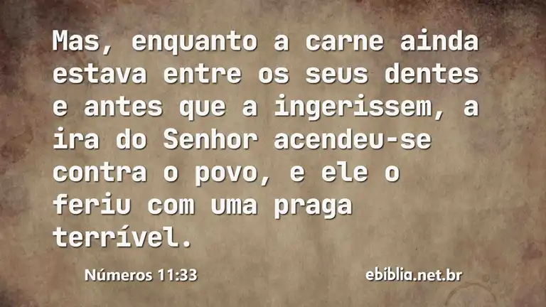 Números 11:33