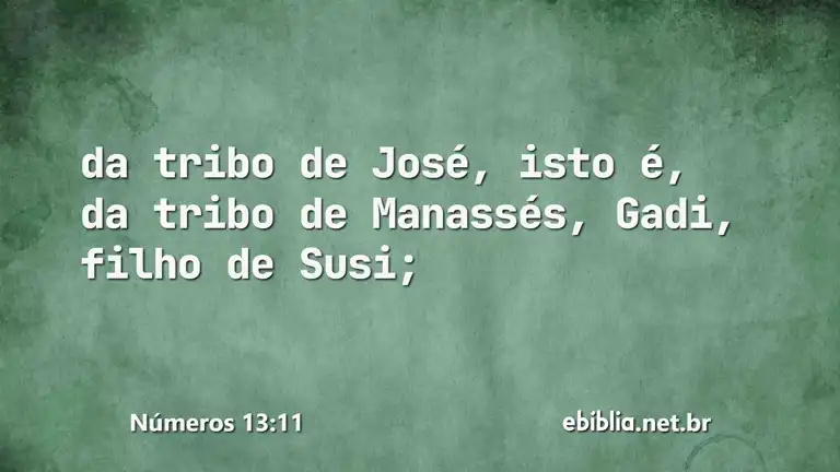 Números 13:11