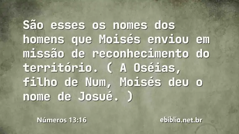 Números 13:16