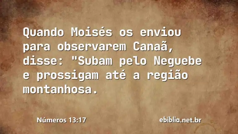 Números 13:17