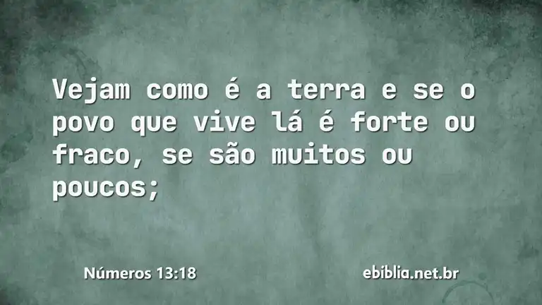 Números 13:18