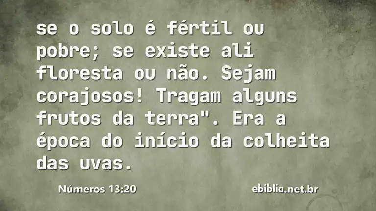 Números 13:20