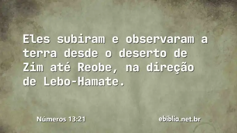 Números 13:21