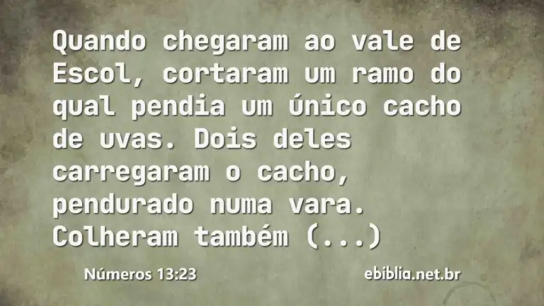 Números 13:23