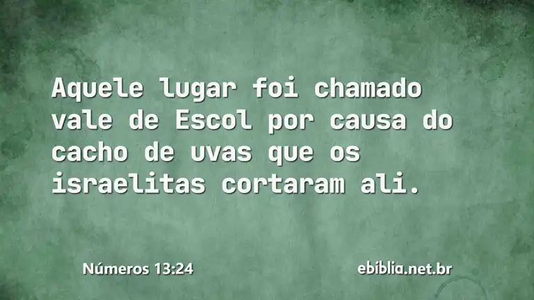 Números 13:24