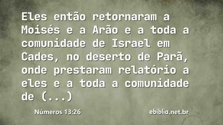 Números 13:26