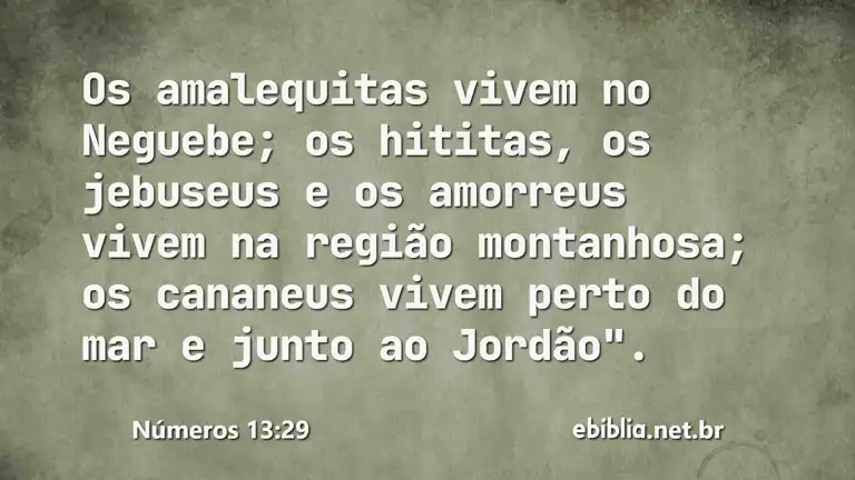 Números 13:29