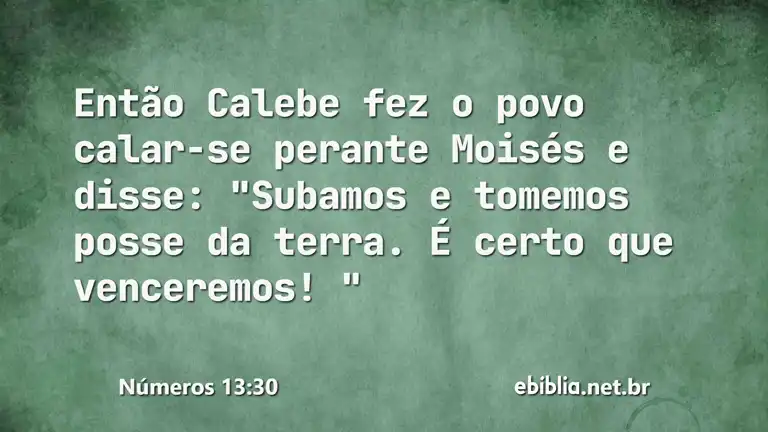 Números 13:30