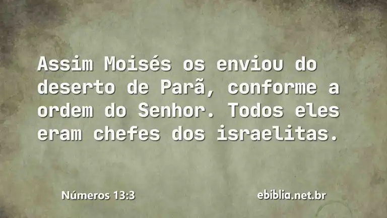 Números 13:3