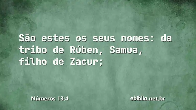 Números 13:4