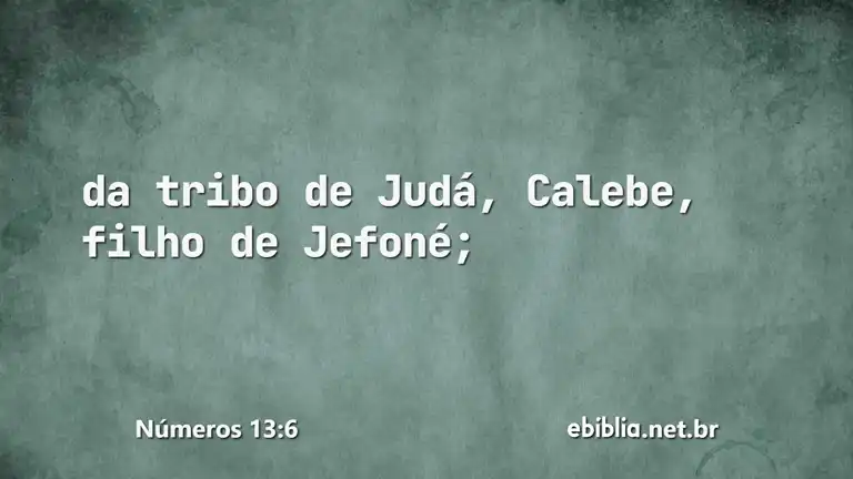 Números 13:6