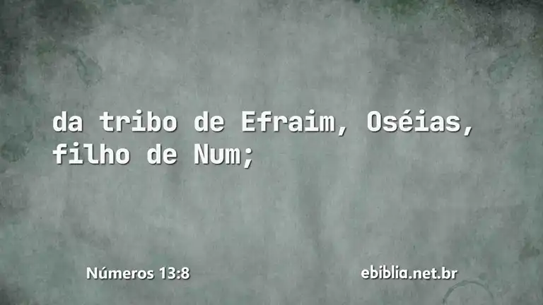 Números 13:8