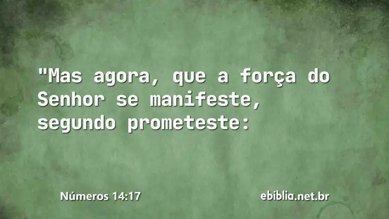 Números 14:17