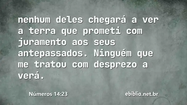 Números 14:23