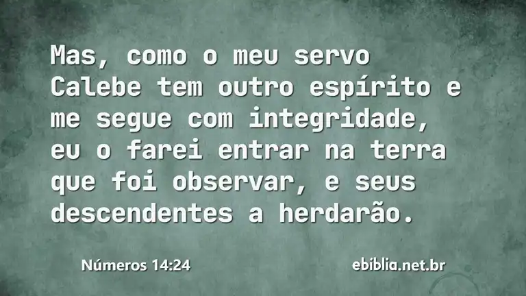 Números 14:24