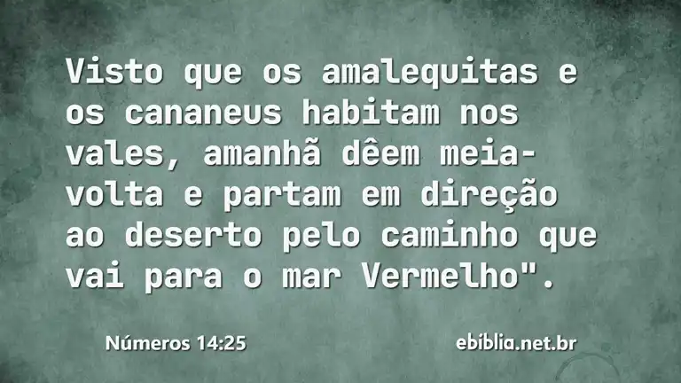 Números 14:25