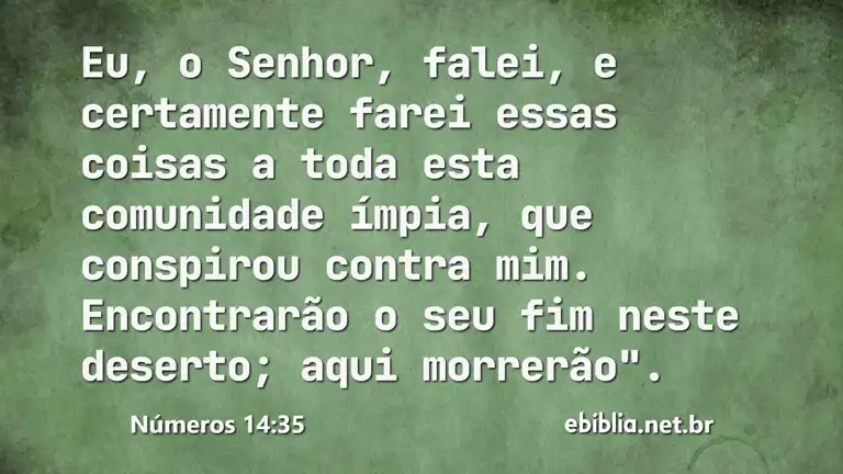 Números 14:35