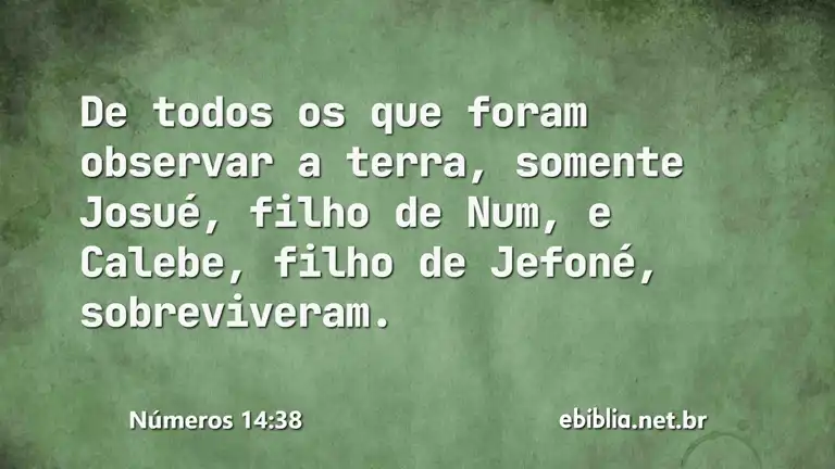 Números 14:38