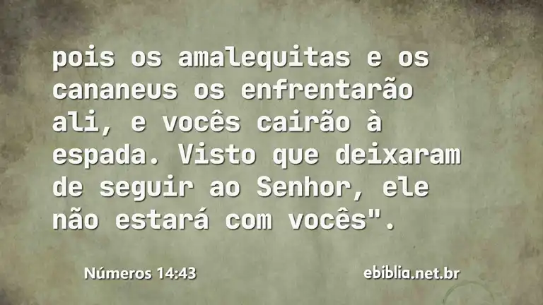 Números 14:43