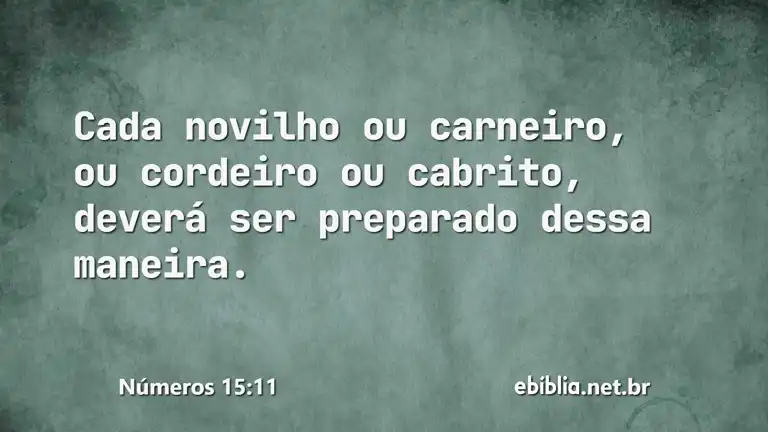 Números 15:11