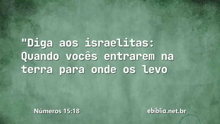 Números 15:18