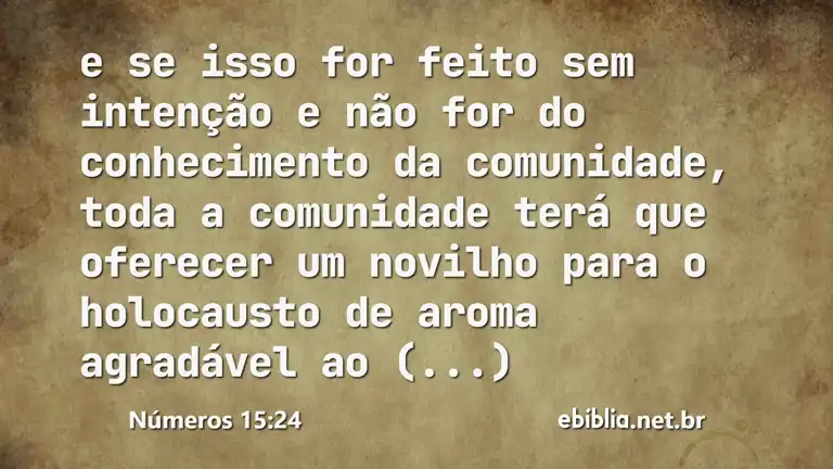 Números 15:24