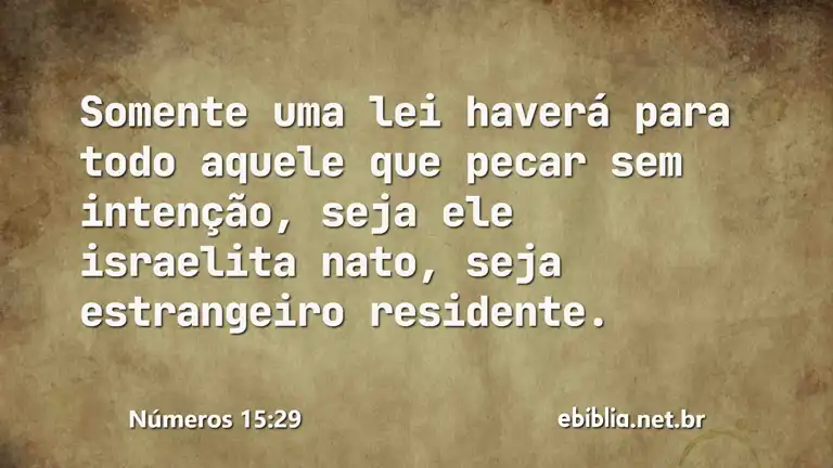 Números 15:29